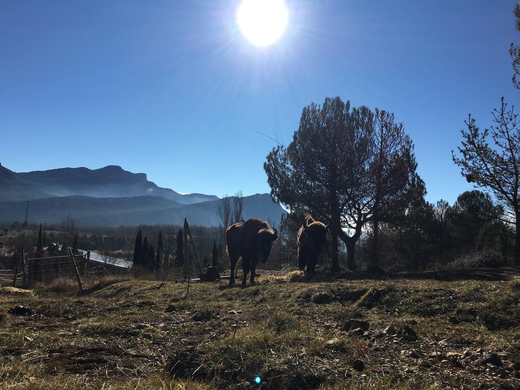 Sant Corneli El Jou Nature מראה חיצוני תמונה